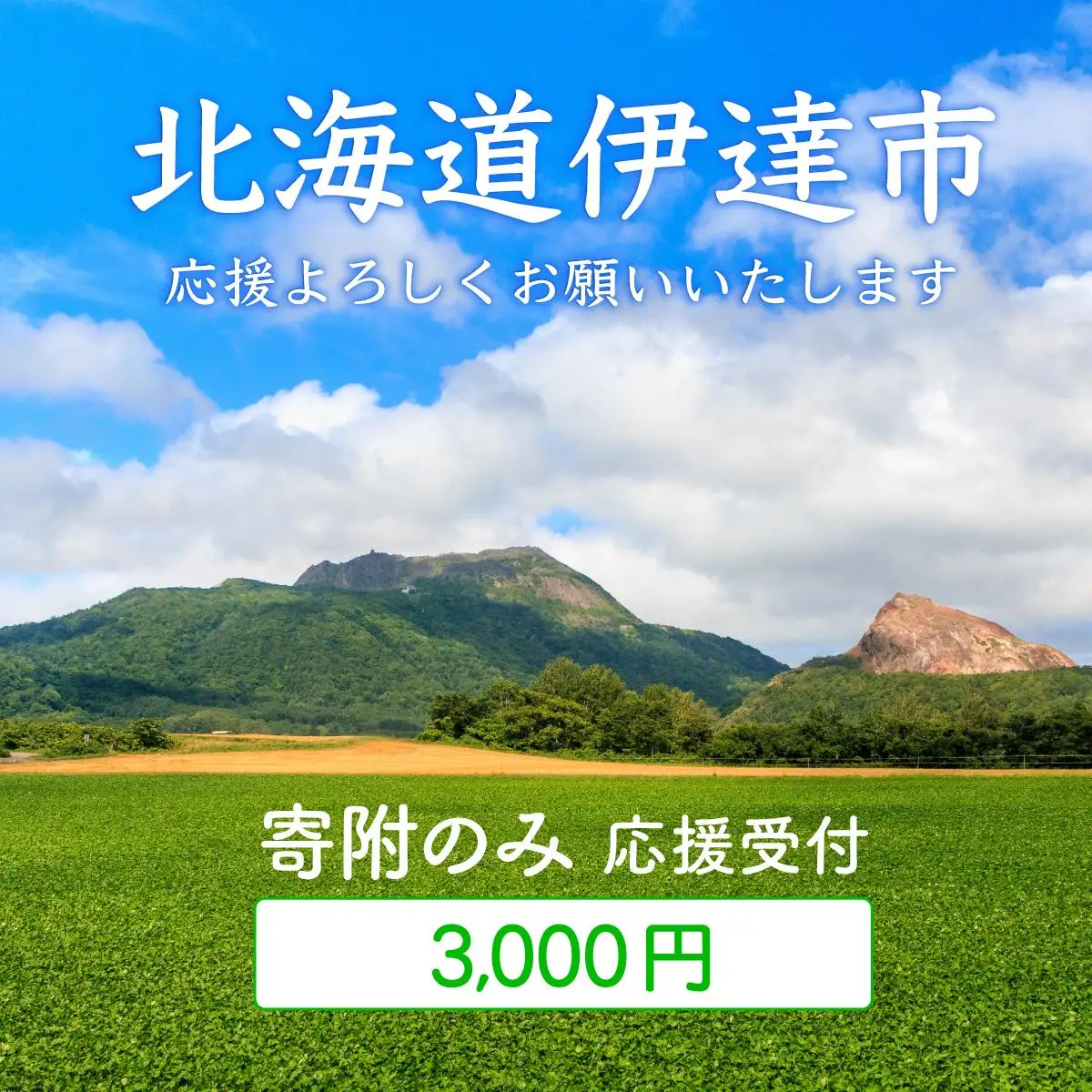 [5525-0998]伊達市 寄附のみ 応援受付 3,000円コース（返礼品なし 寄附のみ 3000円）