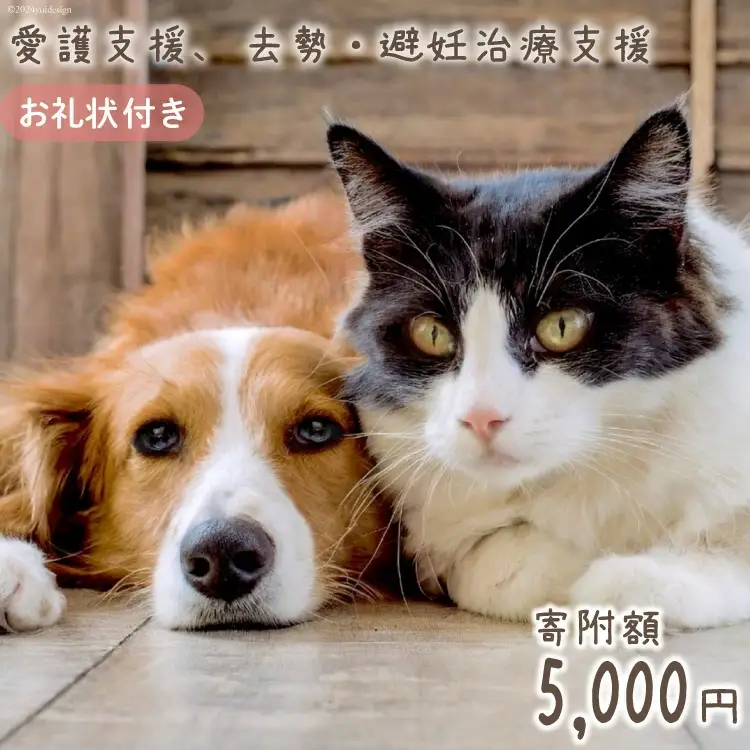 愛護支援、去勢・避妊治療支援 5000円 [Animal Care Salvation 福岡県 筑紫野市 21760768]