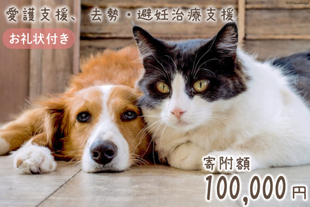 愛護支援、去勢・避妊治療支援 10万円 [Animal Care Salvation 福岡県 筑紫野市 21761395]