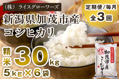 【令和7年産】【定期便3回毎月お届け】新潟県加茂市産コシヒカリ 精米30kg（5kg×6）《順次出荷 》 （株）ライスグローワーズ 白米