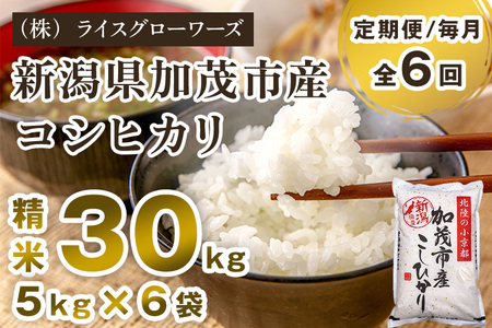 【令和7年産】【定期便6ヶ月毎月お届け】新潟県加茂市産コシヒカリ 精米30kg（5kg×6）《順次出荷》 白米 （株）ライスグローワーズ