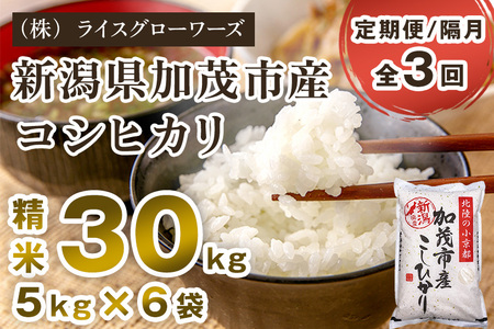 【令和7年産】【定期便3回隔月お届け】新潟県加茂市産コシヒカリ 精米30kg（5kg×6）《順次出荷》 白米 （株）ライスグローワーズ