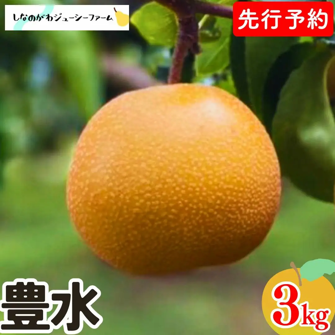 先行予約 和梨 豊水 約3kg 9月上旬以降発送 新潟県三条市産 梨 しなのがわジューシーファーム 豊水