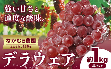 デラウェア ぶどう 約1kg(4パック) 