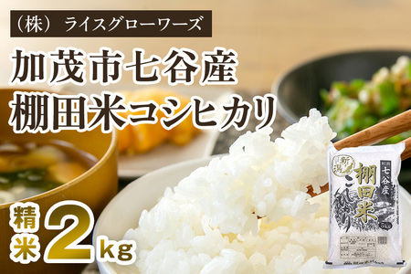 【令和7年産】七谷産 棚田米コシヒカリ 2kg《順次出荷》 （株）ライスグローワーズ