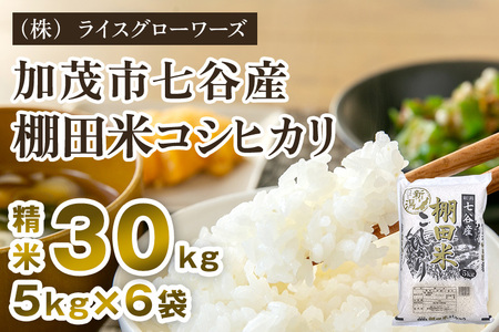 【令和7年産】七谷産 棚田米コシヒカリ 30kg（5kg×6）《順次出荷》 （株）ライスグローワーズ