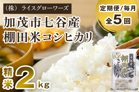 【令和7年産】【定期便5ヶ月毎月お届け】七谷産 棚田米コシヒカリ 精米2kg《順次出荷》 白米 （株）ライスグローワーズ