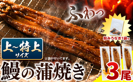 【最短3日発送】鰻蒲焼 3尾 きざみうなぎ付