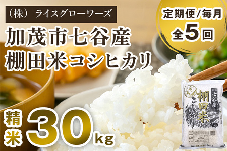 【令和7年産】【定期便5ヶ月毎月お届け】七谷産 棚田米コシヒカリ 精米30kg（5kg×6）《順次出荷》 白米 （株）ライスグローワーズ