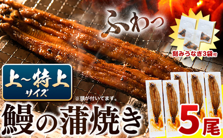 【最短3日発送】鰻蒲焼 5尾 きざみうなぎ付 