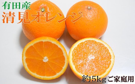 【先行予約】【濃厚】和歌山有田産 清見オレンジ 約5kg（M～3Lサイズおまかせ）ご家庭用 柑橘 オレンジ