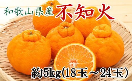 【先行予約】和歌山県産 不知火 約5kg（18～24玉おまかせ）柑橘