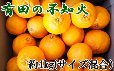 【先行予約】【濃厚】和歌山県有田産 不知火 約4kg（2L～5Lサイズ混合）