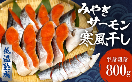 鮭 切り身 みやぎ サーモン 寒風干し 800g×1 宮城県産銀鮭 銀鮭 切身 冷凍 国産