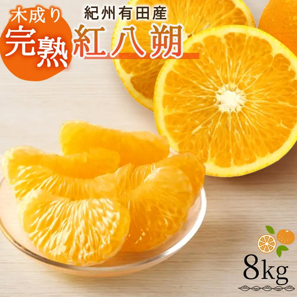 紀州有田産木成り完熟紅八朔8kg［先行予約］［UT62］