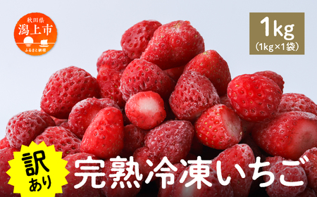 《 訳あり 》 冷凍いちご 大容量 規格外 不揃い 完熟 国産 採れたて 1kg 1袋 真空 個包装 バラ冷凍 ヘタなし 葉なし 冷凍 選べる いちご 苺 人気 送料無料【フルーツパークDETO】