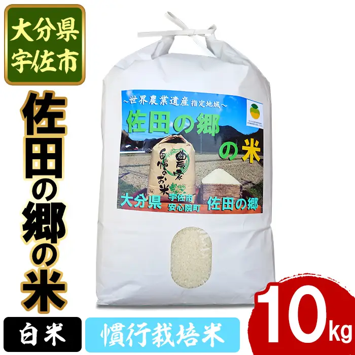 ＜令和7年産＞佐田の郷の米 慣行栽培米(10kg) お米 白米 ごはん ヒノヒカリ ひのひかり ブランド米 常温 常温保存【111700204】【雅設置プロジェクト　佐田の郷の会】