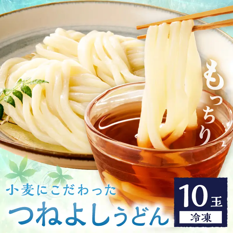 【もちもち】冷凍うどん10玉入_KI00029_うどん