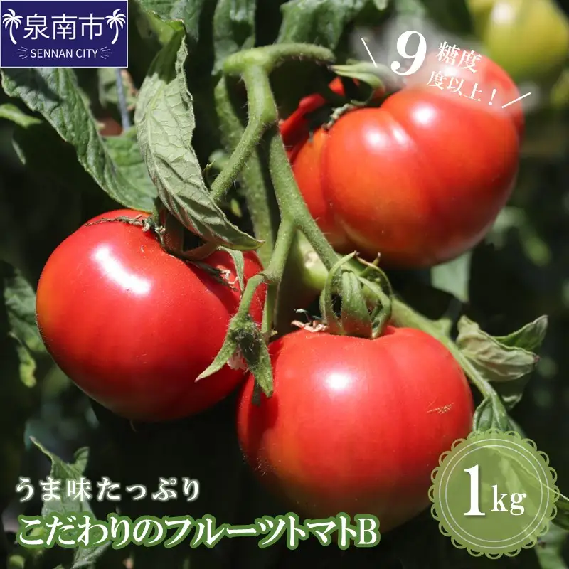 【糖度9度以上】うま味たっぷり こだわりのフルーツトマトB 1kg【093E-001】