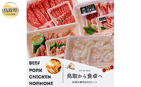 鳥取県産　焼肉セット 2.4ｋｇ (６?１０人前） ホルモン 丸腸 牛肉 豚肉 鶏肉 バーベキュー 鳥取産 BBQ ファミリーセット_T2600254