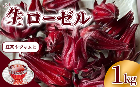 【先行受付】生ローゼル 約１キロ - 2026年11月以降順次発送 ハイビスカスローゼル 1kg フレッシュ ハーブ ビタミン ミネラル クエン酸 アントシアニン ポリフェノール 国産ハーブ 沖縄県産 沖縄県 八重瀬町