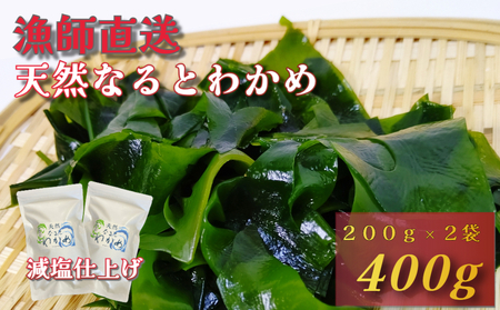 【漁師直送】天然なるとわかめ 200g×2袋 【 減塩 】 鳴門わかめ わかめ 天然 国産 希少 人気 湯通し 塩蔵 味噌汁 みそ汁 スープ お刺身 サラダ 酢の物 和え物