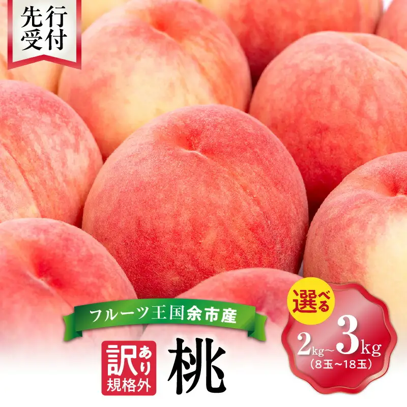 【先行予約：2026年8月中旬以降発送】フルーツ王国余市産「桃」規格外品2kg【ニトリ観光果樹園】_Y074-0146