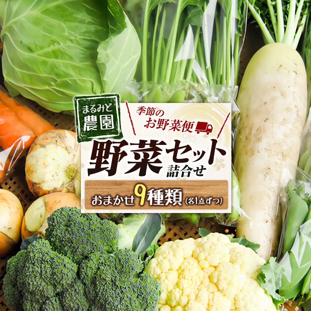 野菜セット 詰め合わせ まるみど農園の季節のお野菜便 農薬使わずに育ててます 9種類 旬 農家直送 国産 送料無料_MA105_001
