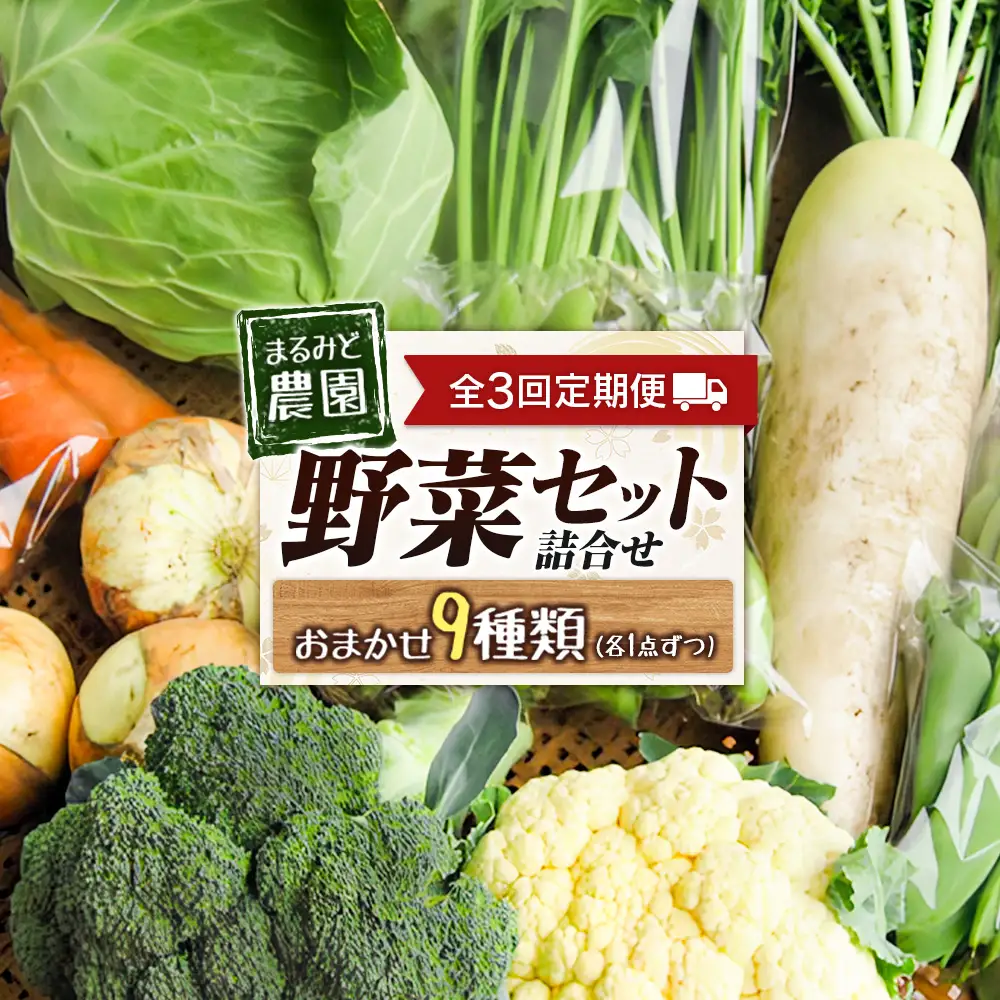 『定期便』全3回 野菜セット 詰め合わせ まるみど農園の季節のお野菜便 毎月 9種類 旬 農家直送 国産 送料無料_MA105_001s3