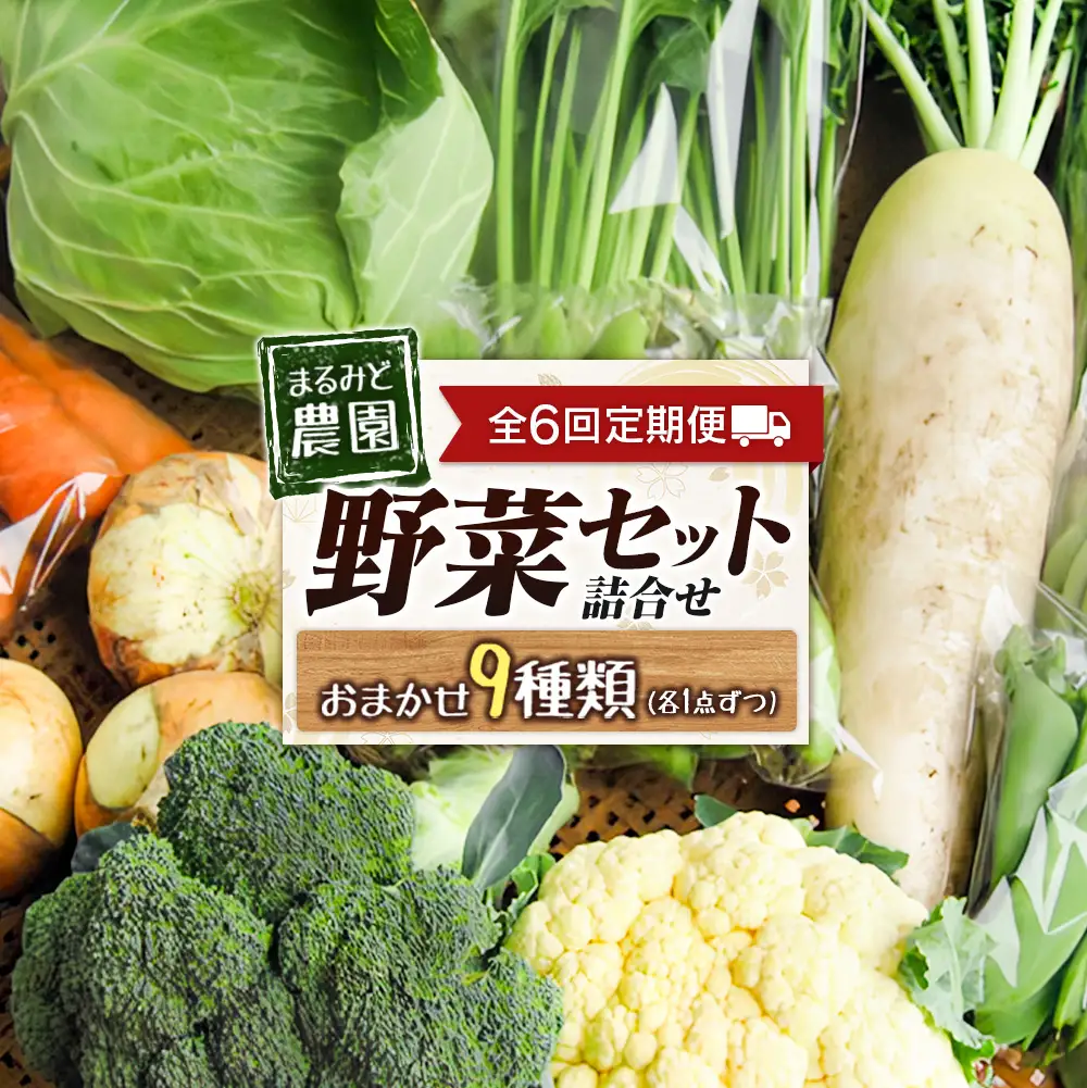 『定期便』全6回 野菜セット 詰め合わせ まるみど農園の季節のお野菜便 毎月 9種類 旬 農家直送 国産 送料無料_MA105_001s6