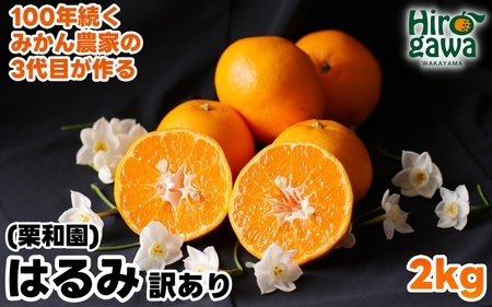 はるみ 2kg 家庭用 / 訳あり 甘い 和歌山 柑橘 ※2027年2月中旬〜3月下旬に順次発送 【krw013-c-2】