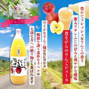 信州 サンふじ りんご ジュース 100％ 3本セット｜ りんごジュース