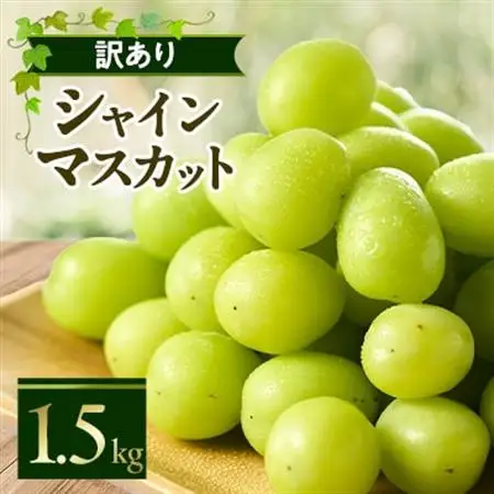 やまなし内藤農園の【訳あり】シャインマスカット 1.5kg【配送不可地域：離島】【1513177】