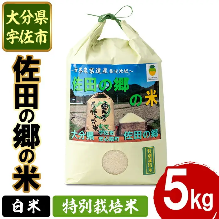 ＜令和7年産＞佐田の郷の米 特別栽培米(5kg)お米 白米 ごはん ヒノヒカリ ひのひかり ブランド米 常温 常温保存【111700704】【雅設置プロジェクト　佐田の郷の会】