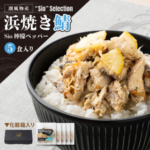  海鮮丼の素 浜焼き鯖 × Sio檸檬ペッパー 5食セット [069-a022] 