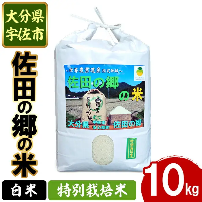 ＜令和7年産＞佐田の郷の米 特別栽培米(10kg)お米 白米 ごはん ヒノヒカリ ひのひかり ブランド米 常温 常温保存【111700804】【雅設置プロジェクト　佐田の郷の会】