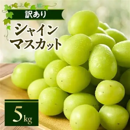 やまなし内藤農園の【訳あり】シャインマスカット 5kg【配送不可地域：離島】【1513206】