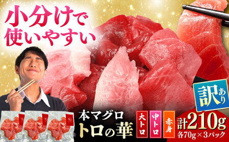 訳あり！対馬産 本マグロ 切り落とし 210g（3パック）トロの華 まぐろ トロ 刺身 [WAQ015]