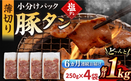 【6回定期便】【塩だれ】九州産 豚タン 毎月250g×4袋 （計6kg）長与町/岩永ホルモン [EAX168] 国産 スライス 焼肉
