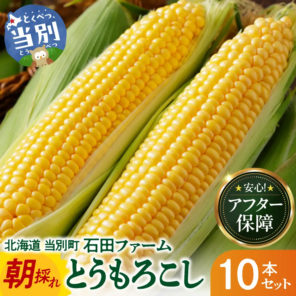とうもろこし 10本セット 北海道産 トウモロコシ