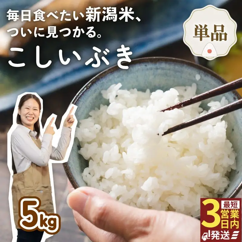 令和7年産 新潟県産こしいぶき 5kg 【 新潟県 新潟産 新潟米 新発田産 新発田 お米 米 こしいぶき とんとん市場 せいだ 5kg 数量限定 玄米 D85_04 】