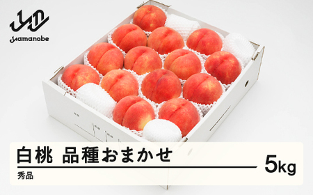 《先行予約》2026年 山形県産 もも 白桃 秀品 品種おまかせ 化粧箱入り 約5kg  令和8年産 ns-mohtx5