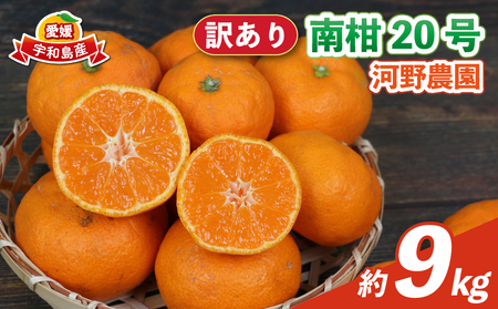 訳あり 南柑20号 9kg 河野農園 温州みかん みかん 人気のみかん 美味しいみかん 濃厚みかん 温州蜜柑 愛媛みかん 愛媛蜜柑 愛媛ミカン 蜜柑 mikan 温州 柑橘 果物 くだもの 訳アリ 訳あり品 訳有り わけあり フルーツ 産地直送 数量限定 先行予約 国産 愛媛 宇和島 B010-147004