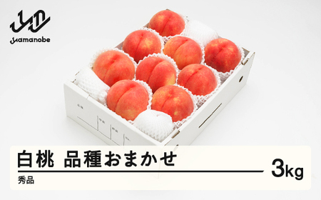 《先行予約》2026年 山形県産 もも 白桃 秀品 品種おまかせ 化粧箱入り 約3kg  令和7年産 ns-mohtx3