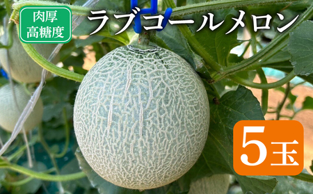 ラブコールメロン 5玉 メロン