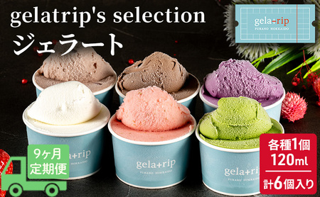 ≪9ヵ月定期便≫ジェラート6個 gelatrip's selection 北海道 上富良野町 