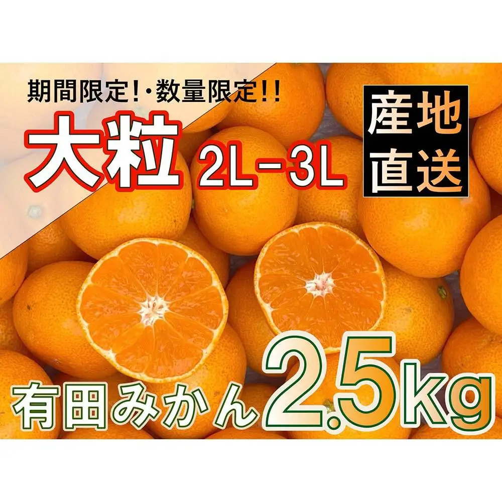 有田みかん 大粒 サイズ 2.5kg みかん 和歌山県産