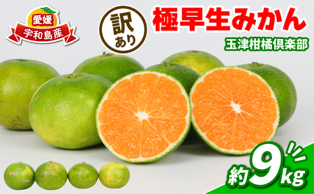 【ご家庭用】訳あり極早生みかん9kg玉津柑橘倶楽部|みかん(B010-072029)