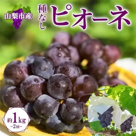 〈2026年発送〉甘みと酸味のバランスが絶妙!「山梨県山梨市産 大房 ピオーネ 2房 約1kg」【配送不可地域：離島・沖縄県】【1513021】