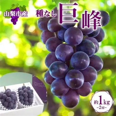 〈2026年発送〉濃厚な味わいが特徴!「山梨県山梨市産の巨峰 2房 約1kg」【配送不可地域：離島・沖縄県】【1513024】